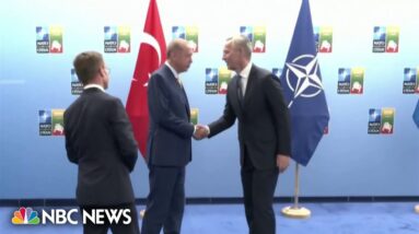 Turkey agrees to support for Sweden to join NATO
