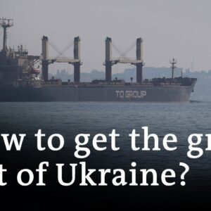 Ukraine considering alternative grain export routes | DW News