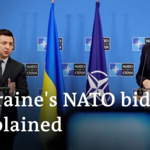 Zelenskyy's NATO bid tour: What does Ukraine really want? | DW News