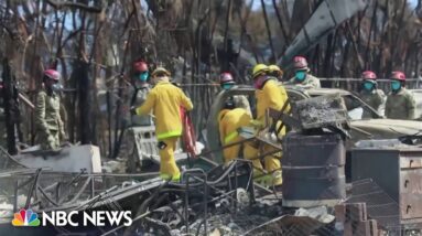 Maui wildfire cause under investigation as Hawaiian Electric faces growing scrutiny