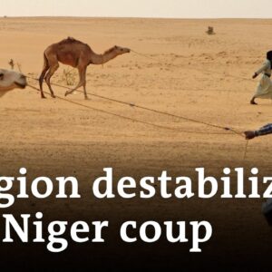 How the Sahel Allianz seeks works to support people in the region | DW News