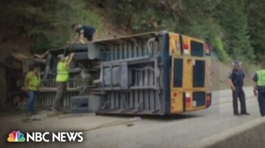11 injured in Idaho school bus crash, authorities report