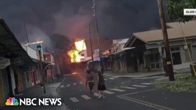 Humanitarian crisis unfolds as Maui fires leave thousands seeking housing