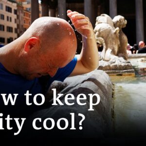 Beating the heat: How can we keep cities cool? | DW News