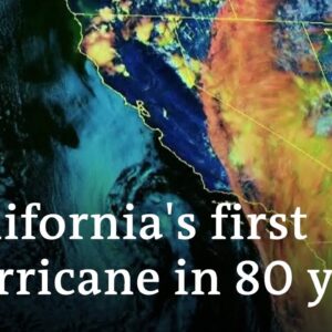 California braces for 'catastrophic' impact of Hurricane Hilary | DW News