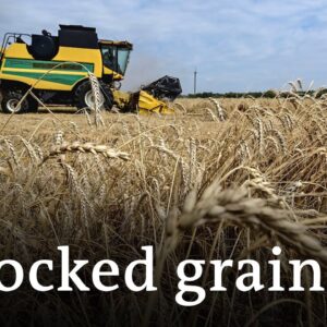Can the Danube route be the way out for Ukraine's grain? I DW News