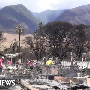 FEMA searching through wildfire debris in Maui for remains of victims