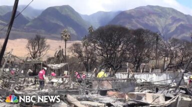 FEMA searching through wildfire debris in Maui for remains of victims