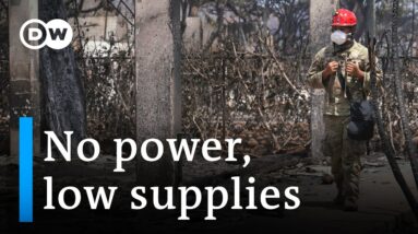 Hawaii power company draws criticism for ignoring warnings I DW News