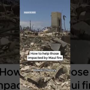 How to help those impacted by the wildfires in Maui