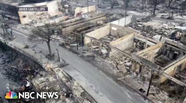 Lawsuits filed against Hawaiian Electric following deadly wildfires