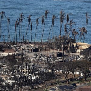 LIVE: Hawaii officials provide update on wildfires