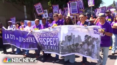 Los Angeles city workers walk off the job in one-day strike