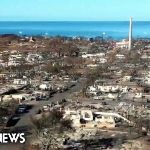 Maui wildfire survivors worry about housing amidst devastation
