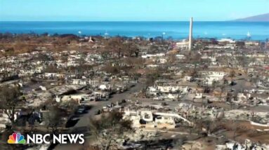 Maui wildfire survivors worry about housing amidst devastation