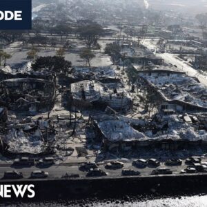 Meet the Press NOW — Aug. 14