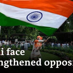 Was opposition leader Gandhi’s defamation case politically motivated? | DW News