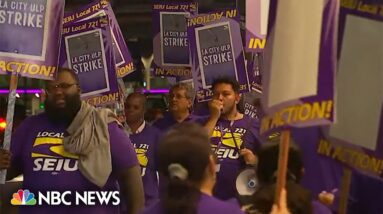 Thousands of L.A. city employees begin 24-hour strike
