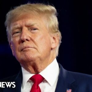 Trump's alleged 'fake elector' scheme explained