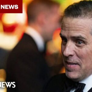 Why a special counsel was appointed in the Hunter Biden investigation