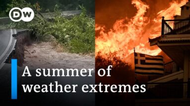 After storm 'Elias': Greece makes adapting to climate change a national priority | DW News