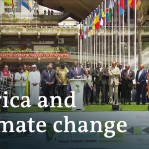 Africa Climate Summit: How to achieve a climate-friendly future? | DW News Africa