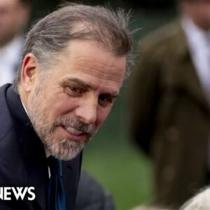 Hunter Biden suing IRS, alleging agency sought to damage his reputation