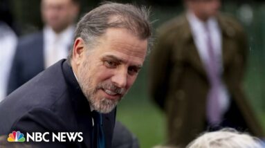 Hunter Biden suing IRS, alleging agency sought to damage his reputation