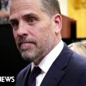 IRS whistleblower in Hunter Biden probe concerned on how investigation was handled