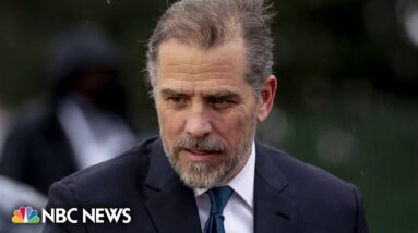 Republicans not satisfied with special counsel’s planned indictment of Hunter Biden