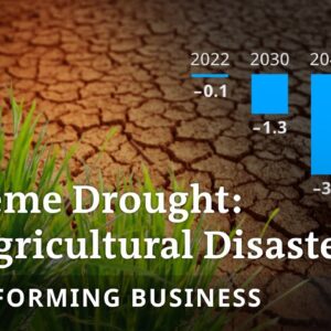 How to stop droughts from causing agricultural crises? | Transforming Business