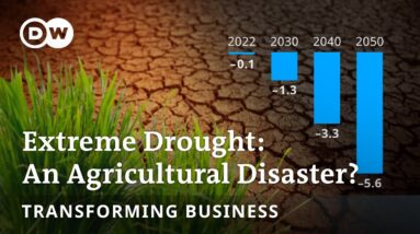 How to stop droughts from causing agricultural crises? | Transforming Business