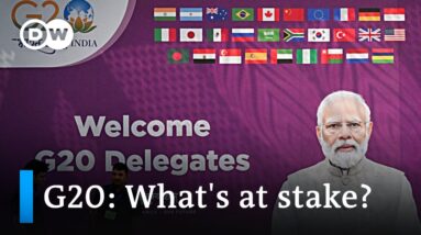Why geopolitical divisions overshadow this year's G20 summit in India | DW News