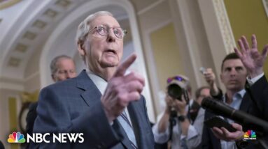 Republicans react to McConnell freezing during press conference