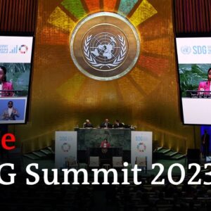 UN Sustainable Development Goals Summit | DW News
