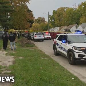 4-year-old boy killed in Detroit dog mauling