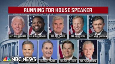Search for House Speaker back to square one with slate of new candidates