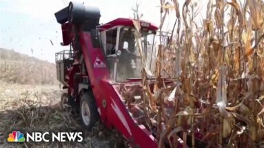 China’s food security threatened by climate change