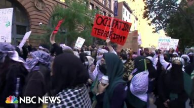 Emotional protests over Israel-Hamas war across the U.S.
