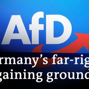 How much of a neo-Nazi party is the German AfD? | DW News