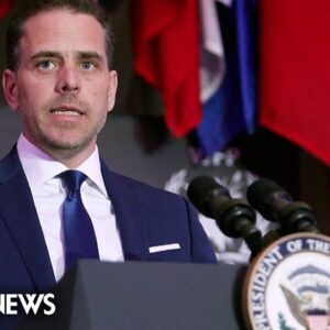 Hunter Biden pleads not guilty to three felony gun charges