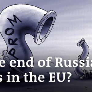 Ukraine gas chief: EU imports of Russian gas 'ridiculous' | DW Business Special