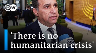 Israeli ambassador to DW: 'This war is not against the Palestinian people' | DW News