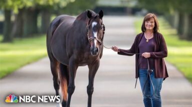 Meet Barbara Banke, the driving force behind 'Jackson Family Wines'