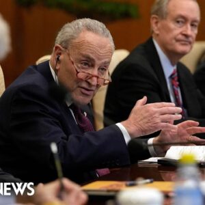 Senate Majority Leader Schumer calls on China to support Israel