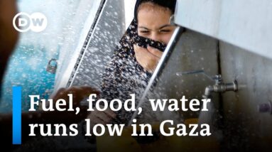 UN says 340,000 displaced in Gaza I DW News