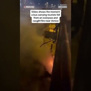 Venice bus falls off overpass