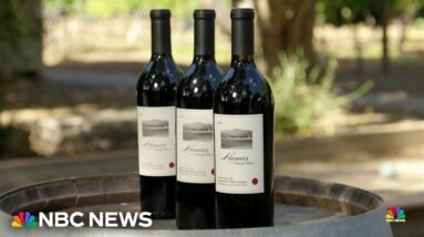 Mexican American winemakers with Napa Valley roots celebrated in the industry