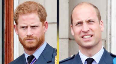 How the Royal Family Helped Rebrand Prince William’s Public Image (Royal Expert)
