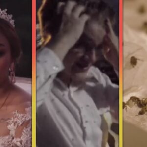 90 Day Fiancé: Brandan and Mary’s Wedding SWARMED by BEETLES!